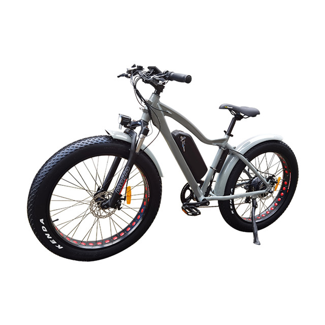 electric bike beach cruiser