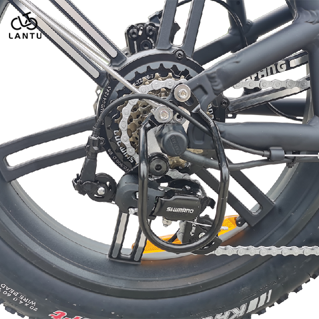 E Cargo Electric Bike Buy e cargo electric bike, all terrain electric