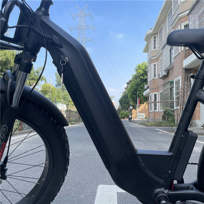 ladies electric mountain bike